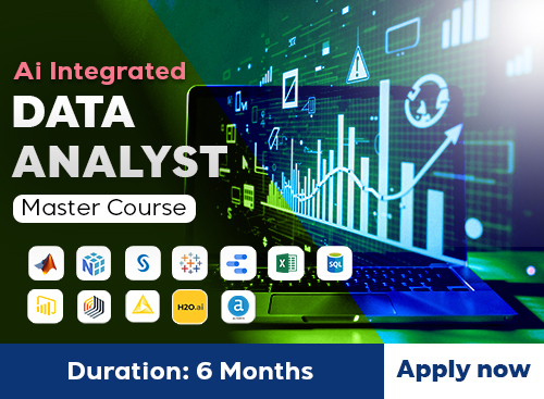Data Analyst